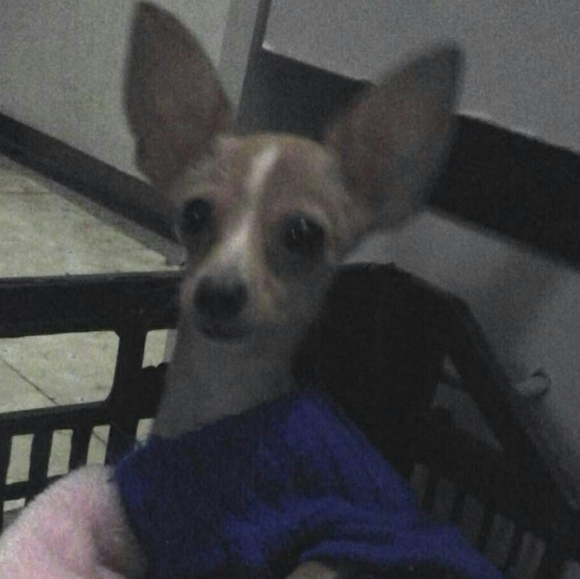 Trusted Seller !!! - Picture 5 of 8